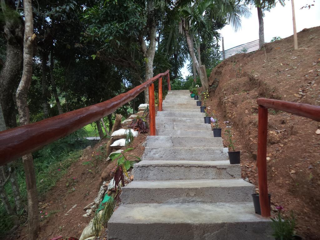 Silent Nest Bed & Breakfast Ella Exterior foto