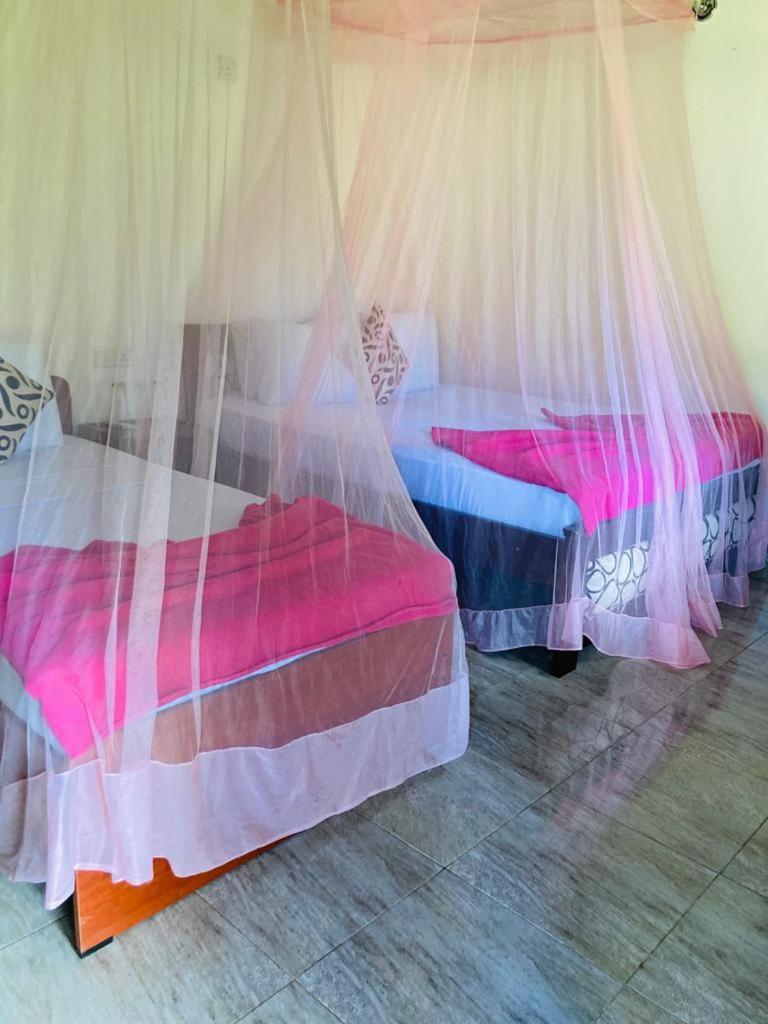 Silent Nest Bed & Breakfast Ella Exterior foto