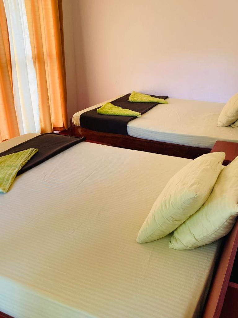 Silent Nest Bed & Breakfast Ella Exterior foto