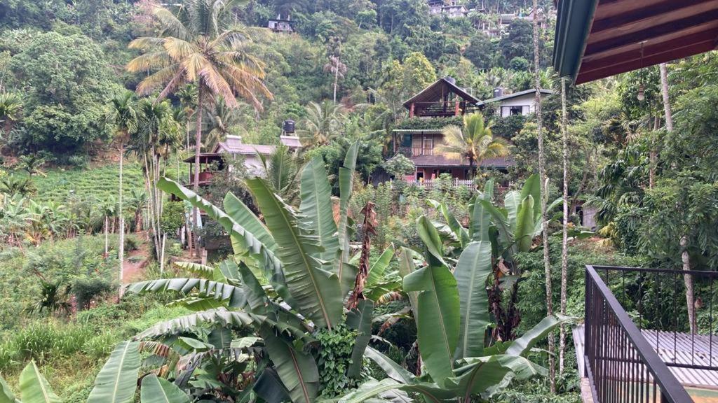 Silent Nest Bed & Breakfast Ella Exterior foto